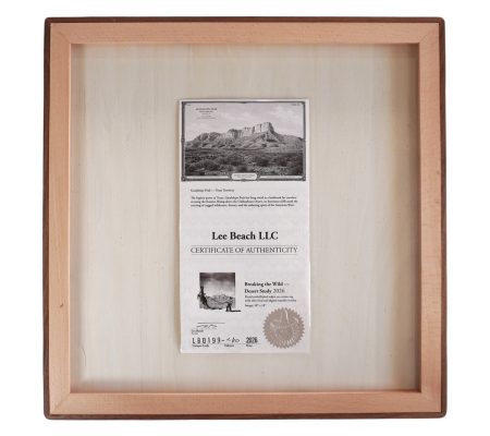 Breaking_the_Wild_certificate
